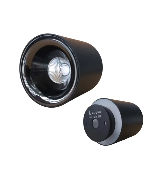 Delux TROYA 38BGB spot işıq 12W (qara+gun black, 4000K)