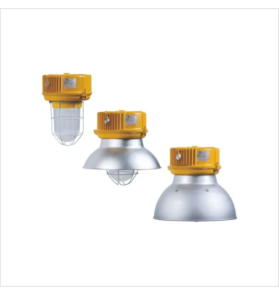Warom BnD81 Exproof Asma Lampa (IP65, ATEX / IECEx Sertifikatlı)